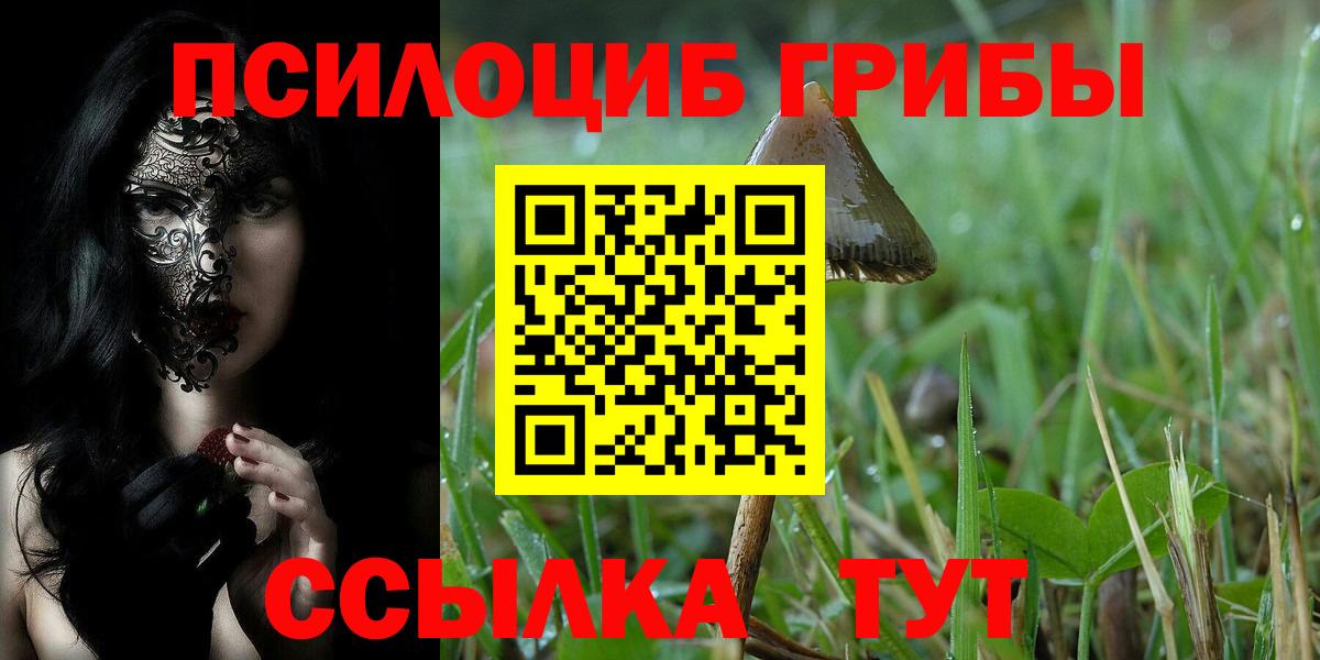 Галлюциногенные грибы GOLDEN TEACHER Миллерово